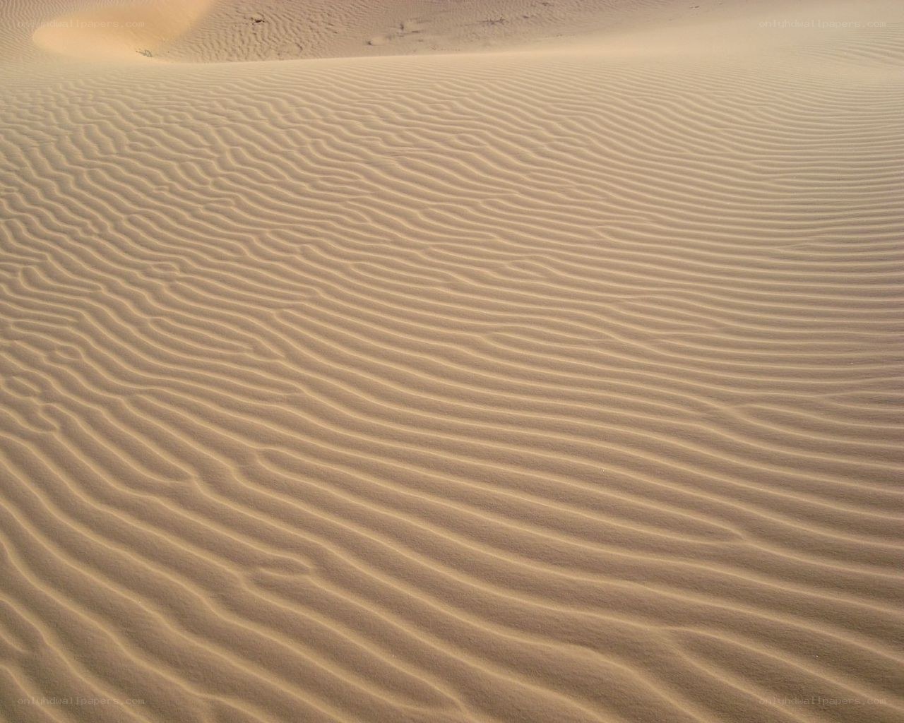 Sand dunes with ripples