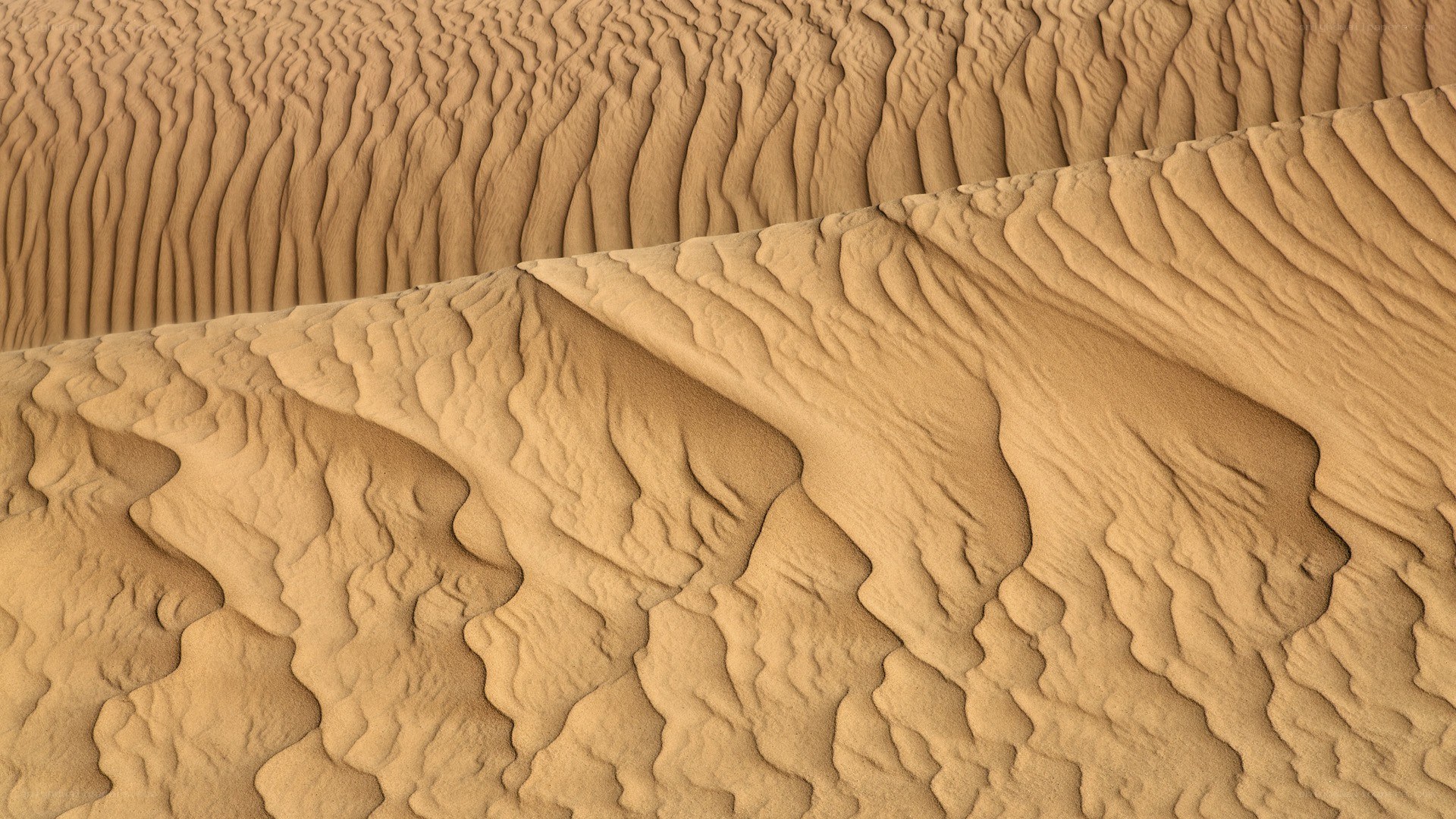Sand dunes with ripples