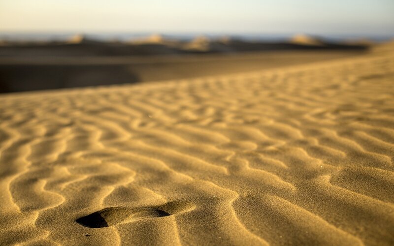 Sand Dunes with Ripples — Brown