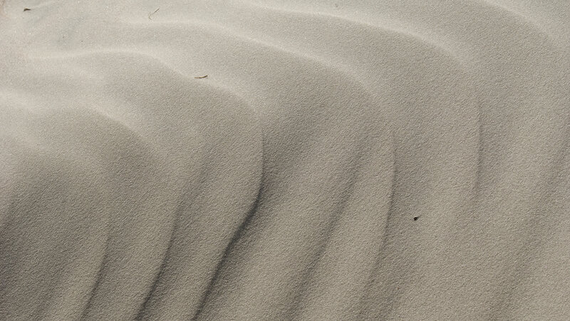 sand dunes with ripples