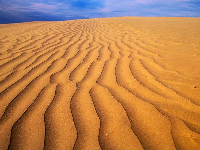 Sand Dunes with Ripples — Yellow