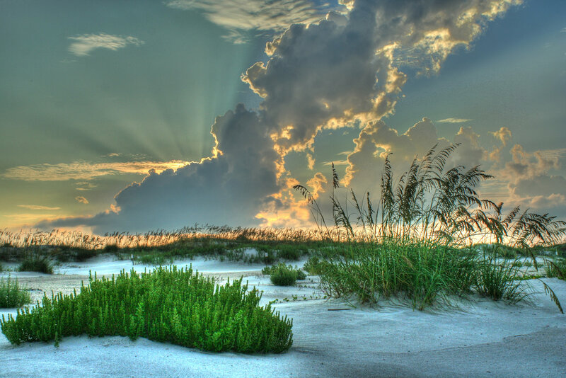 Sand Dunes with Sea Oats