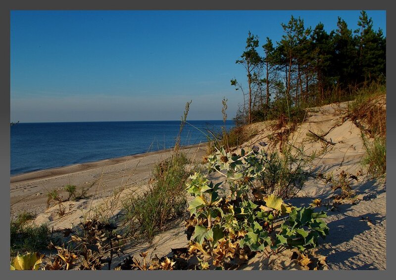 Sand Dunes with Sea
