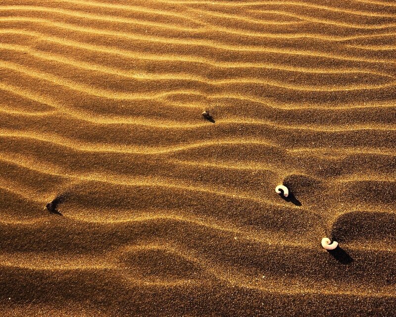 Sand dunes with seashells