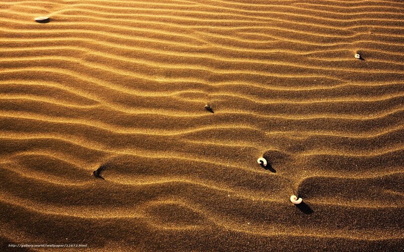 Sand dunes with seashells