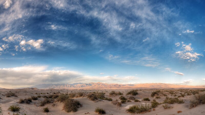 Sand Dunes with Shrubs — Blue