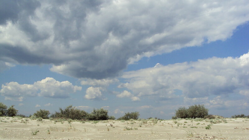 Sand Dunes with Shrubs