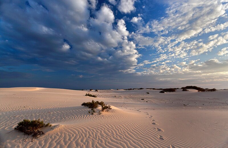 Sand Dunes with Shrubs — White, Serene