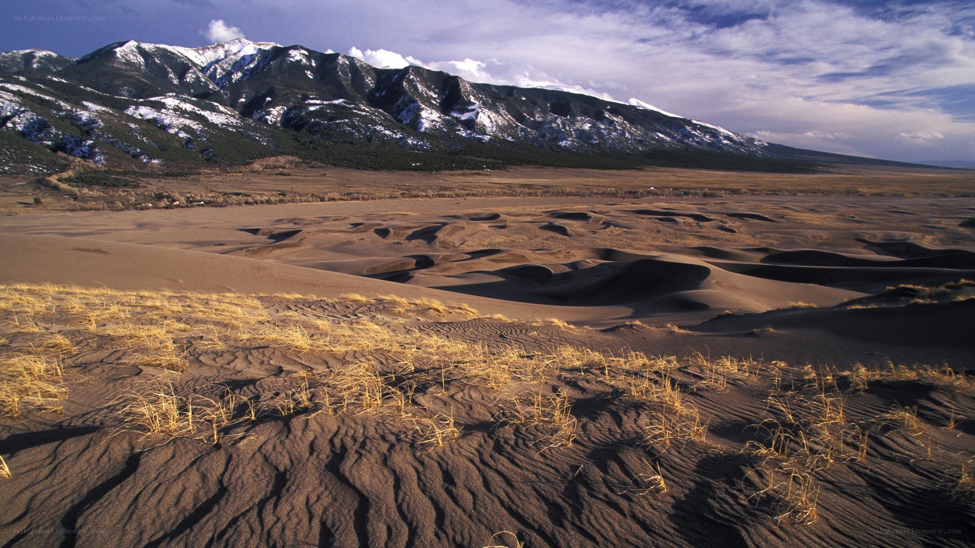 sand dunes with snow-capped mountains