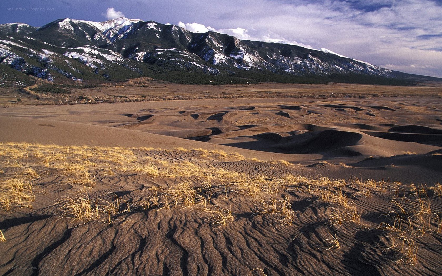 Sand dunes with snow-capped mountains