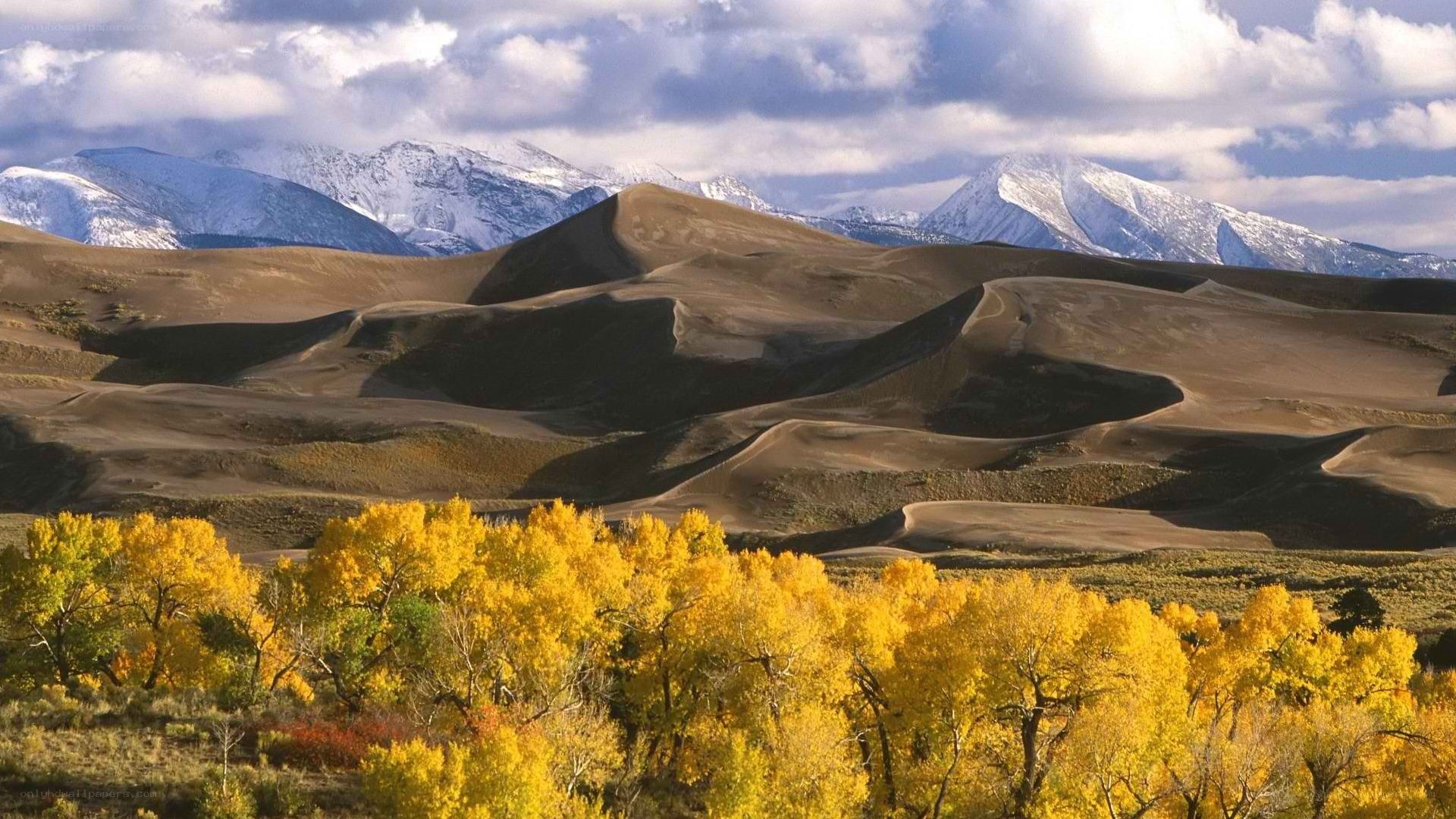 sand dunes with snow-capped mountains