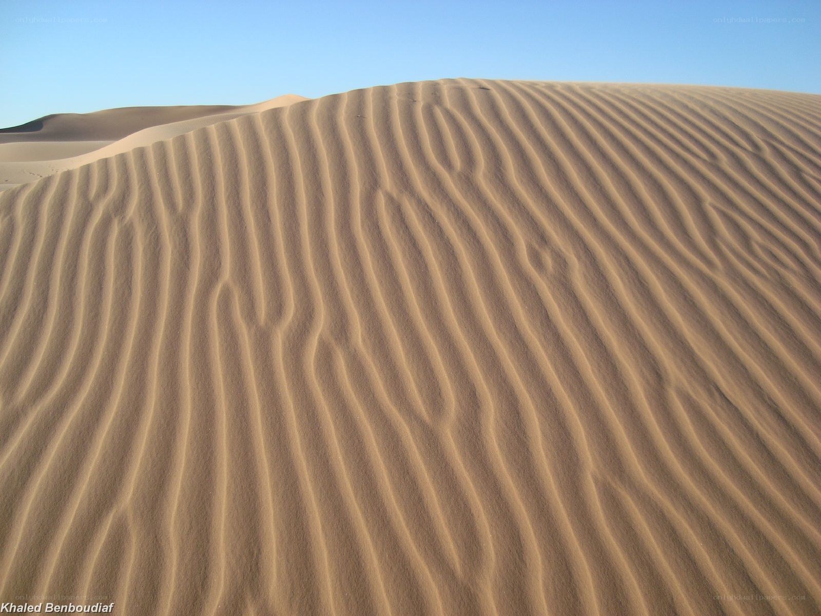 Sand dunes with wind patterns