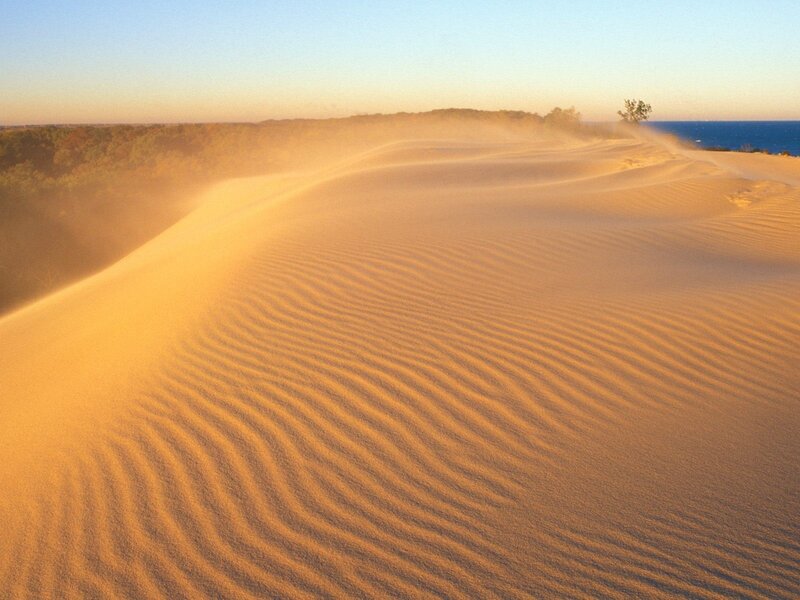 Sand Dunes with Wind