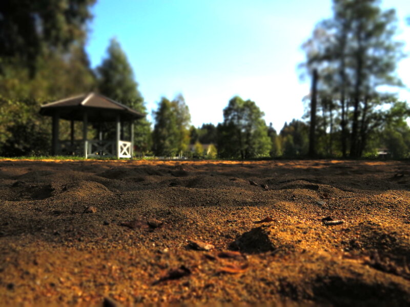 Sand in Park