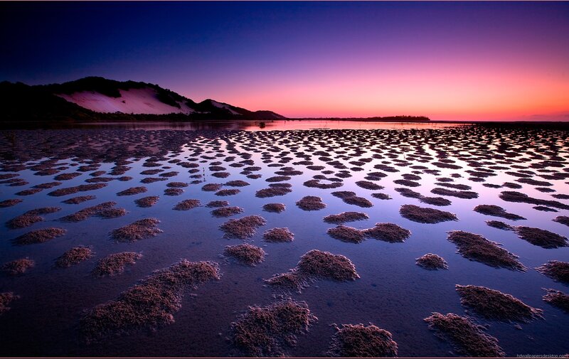 Sand Mounds in Tidal Flat