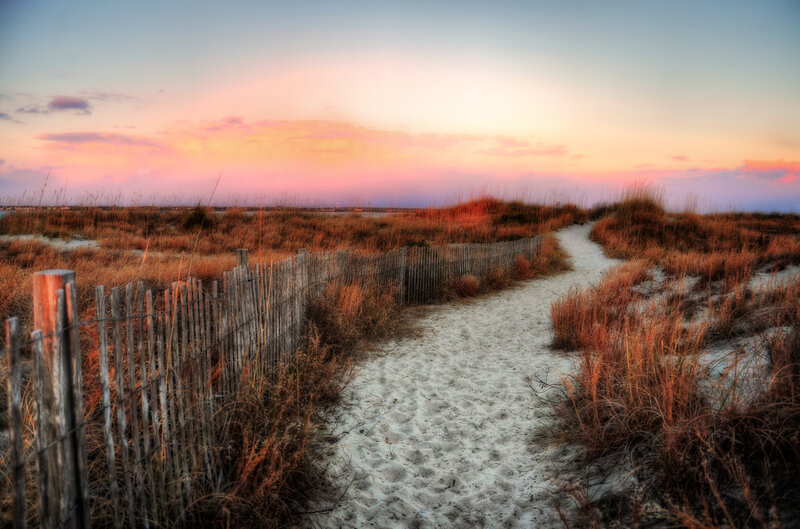Sand Path on Dune