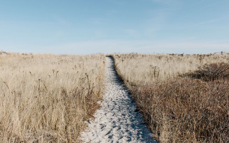 Sand Path Through Dunes — Beige