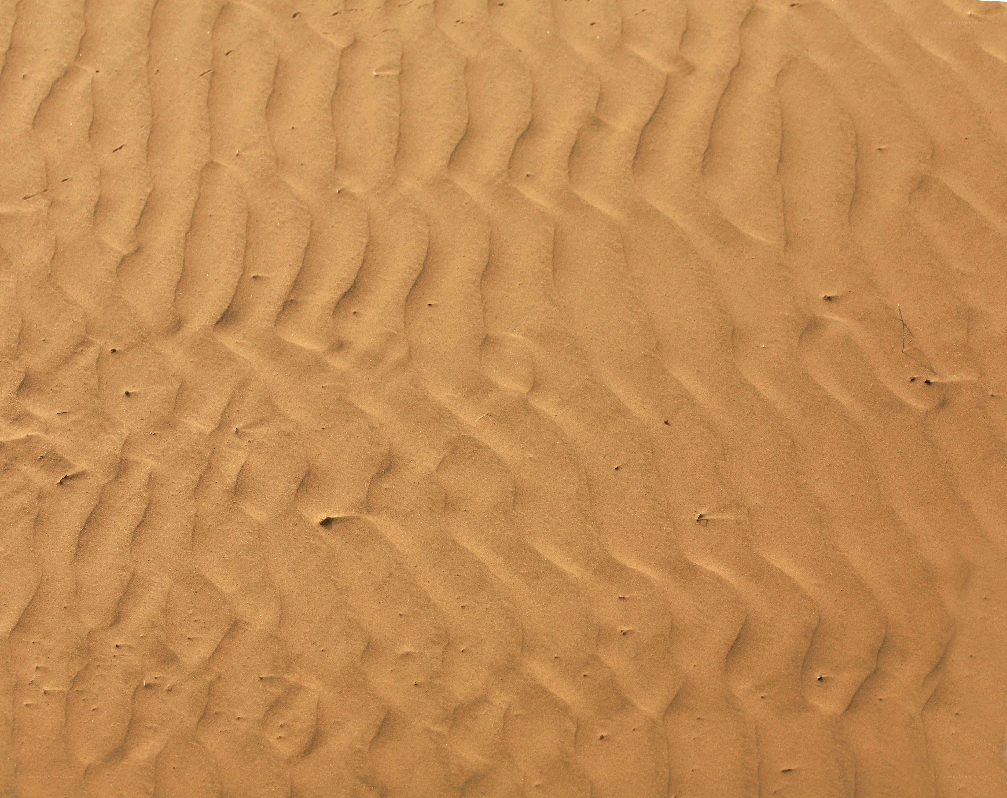 sand ripple patterns