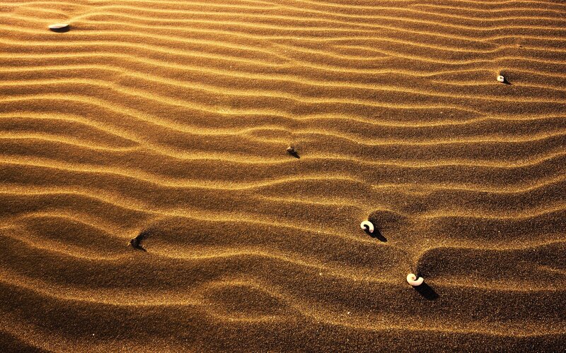 Sand ripples with shells