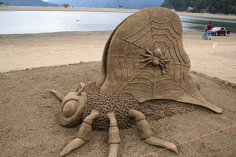 Sand Sculpture of Spider