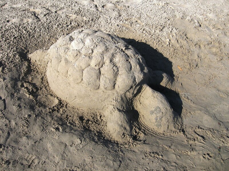 Sand Sculpture of Turtle