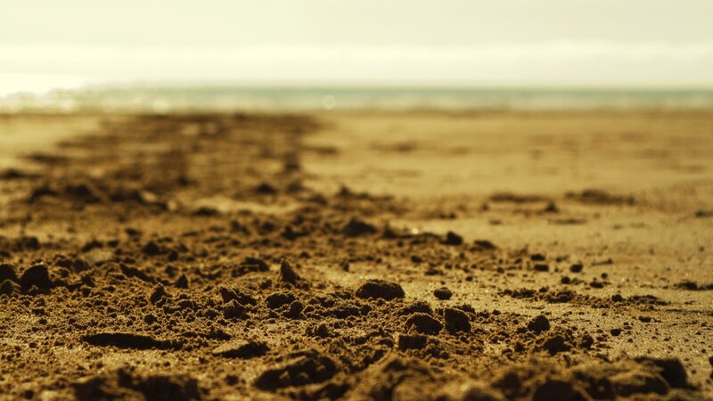 sand texture at the beach