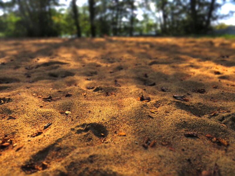 Sand with Footprints