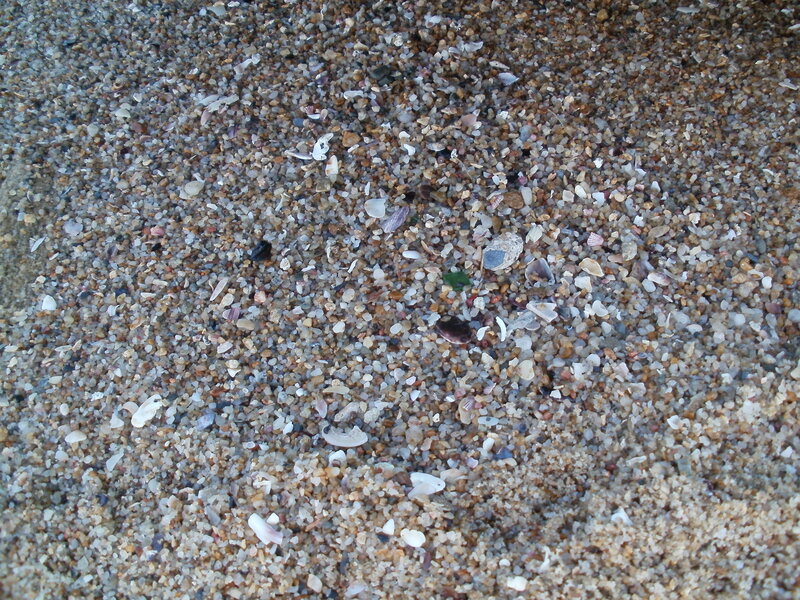 Sand with Shell Fragments — Beige