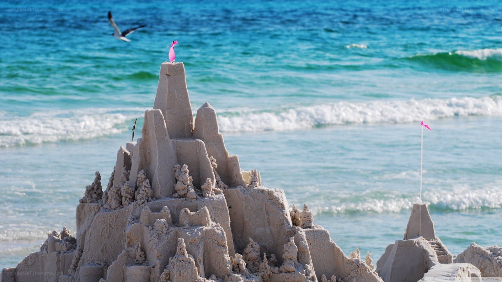 Sandcastle on the beach
