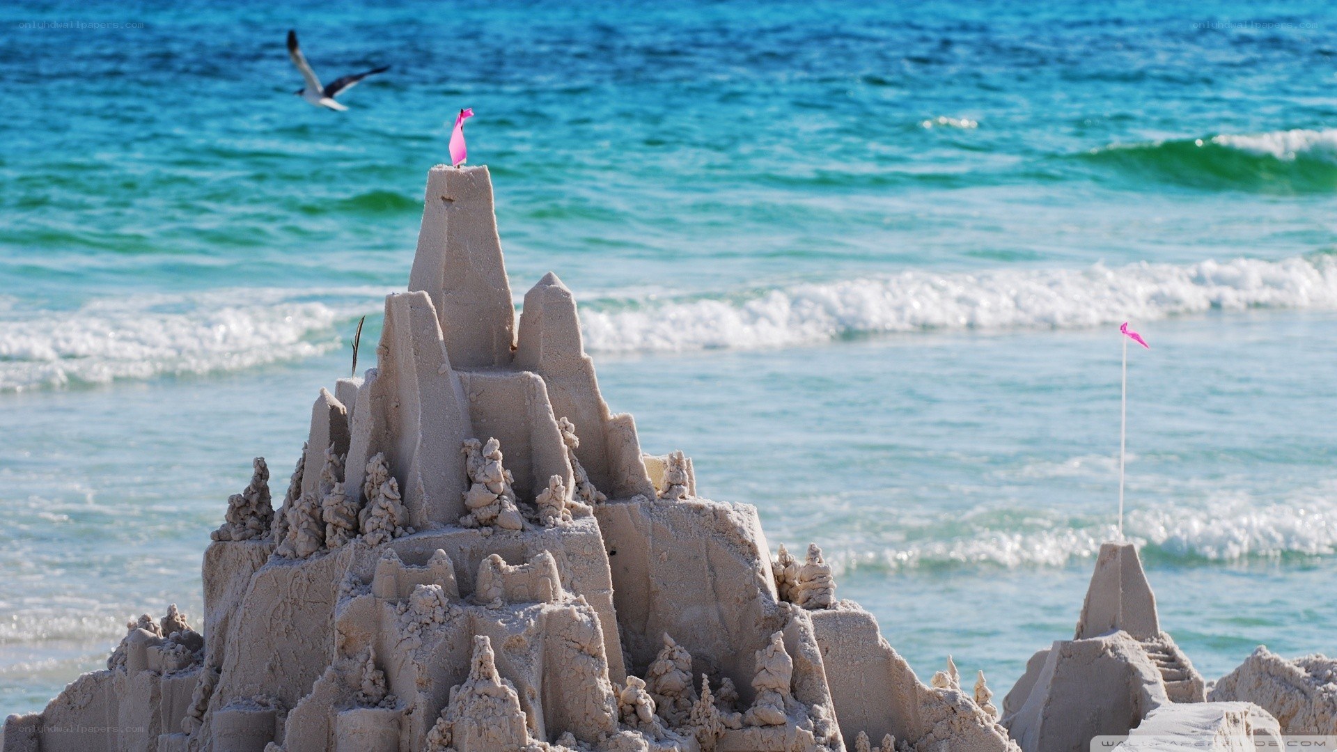 Sandcastle on the beach
