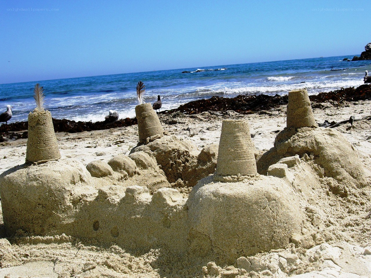 Sandcastle on the beach