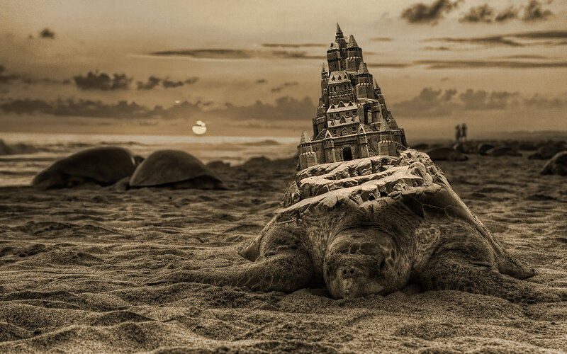 Sandcastle on Turtle