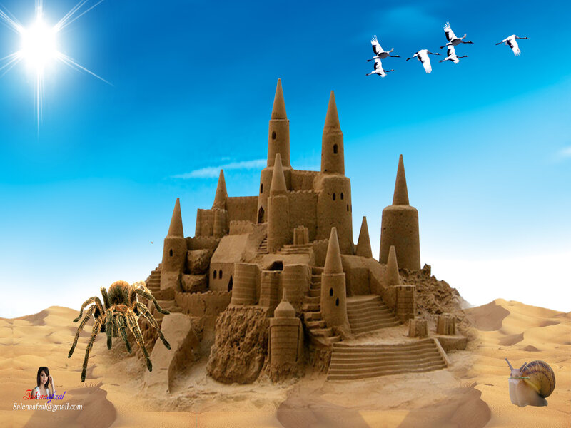 Sandcastle with animals