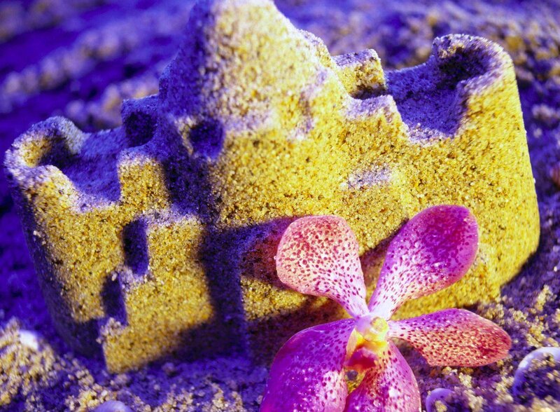 Sandcastle with orchid flower