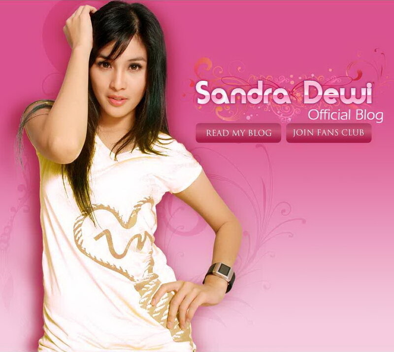 Sandra Dewi official blog banner