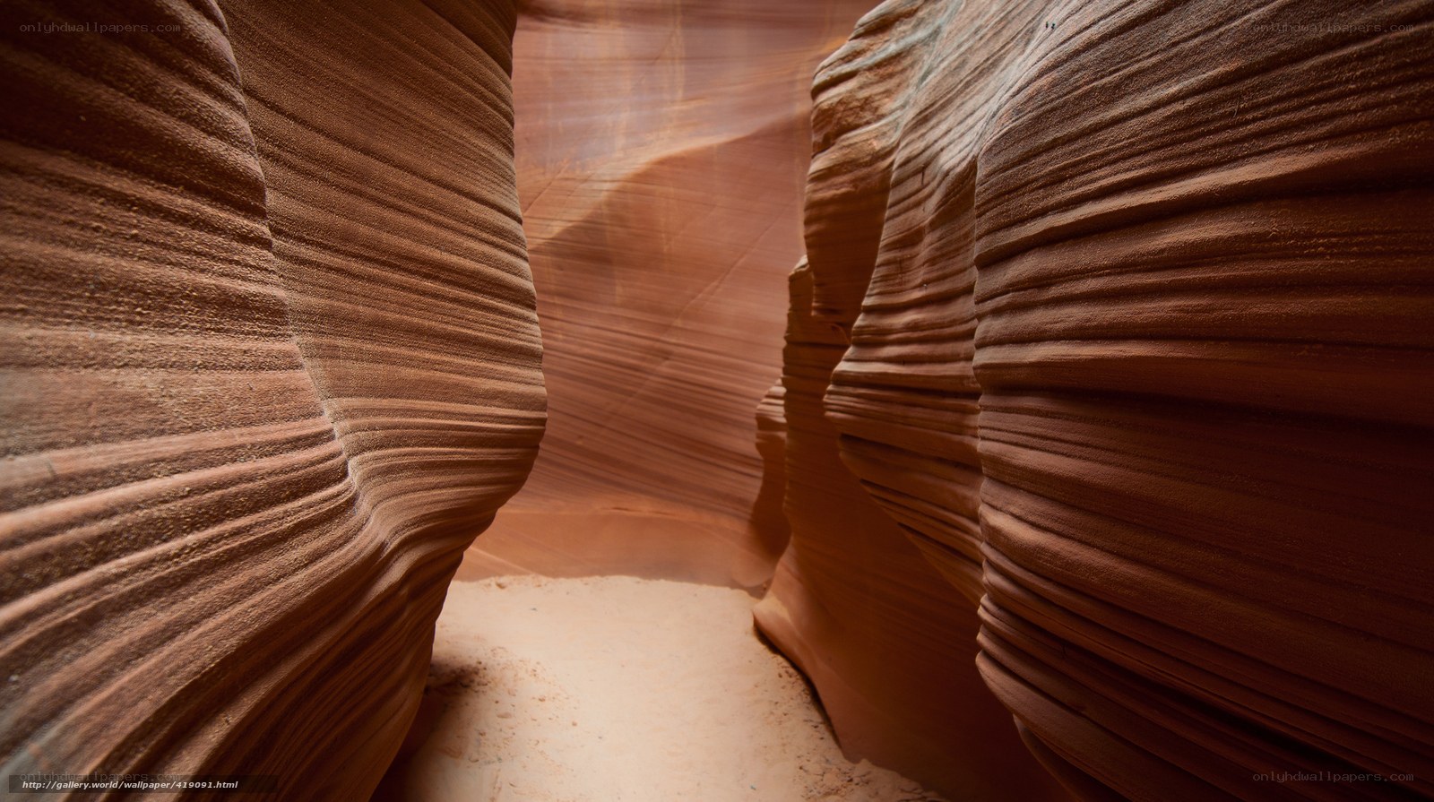 Sandstone canyon walls