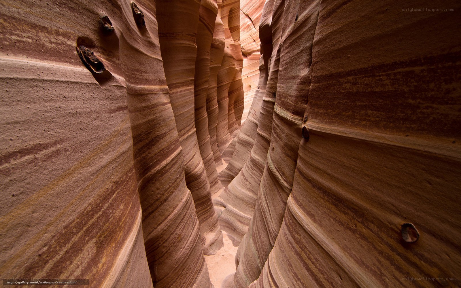 Sandstone formations in a canyon