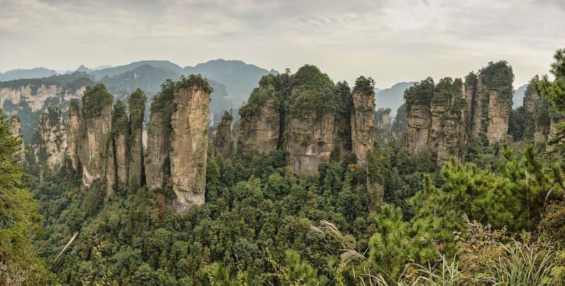 Sandstone Pillars in Forest