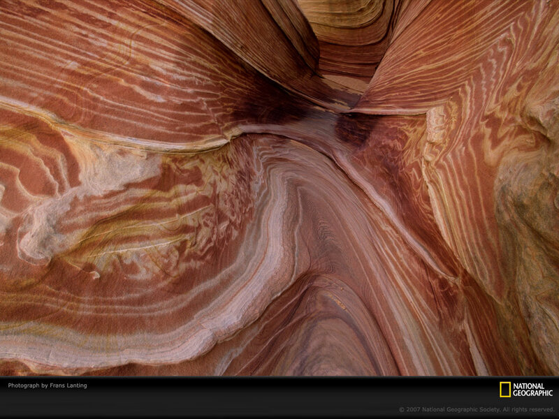Sandstone Rock Formations — Brown