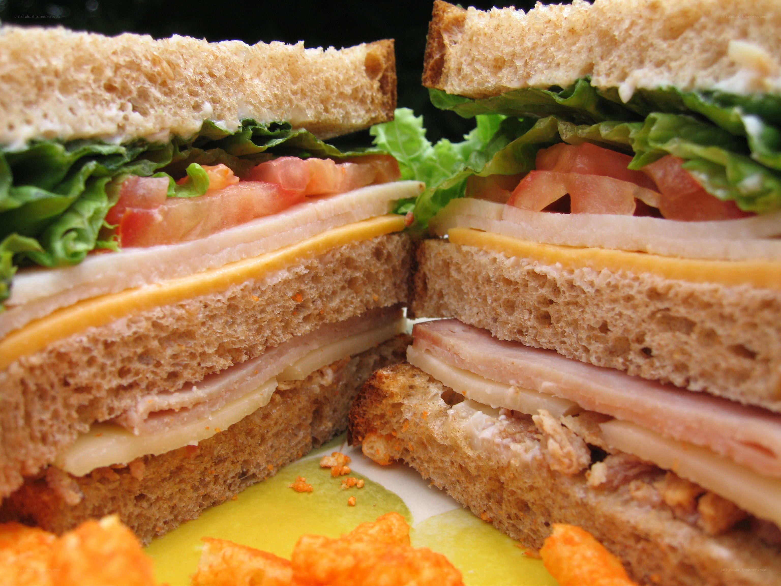 sandwich with turkey and cheese