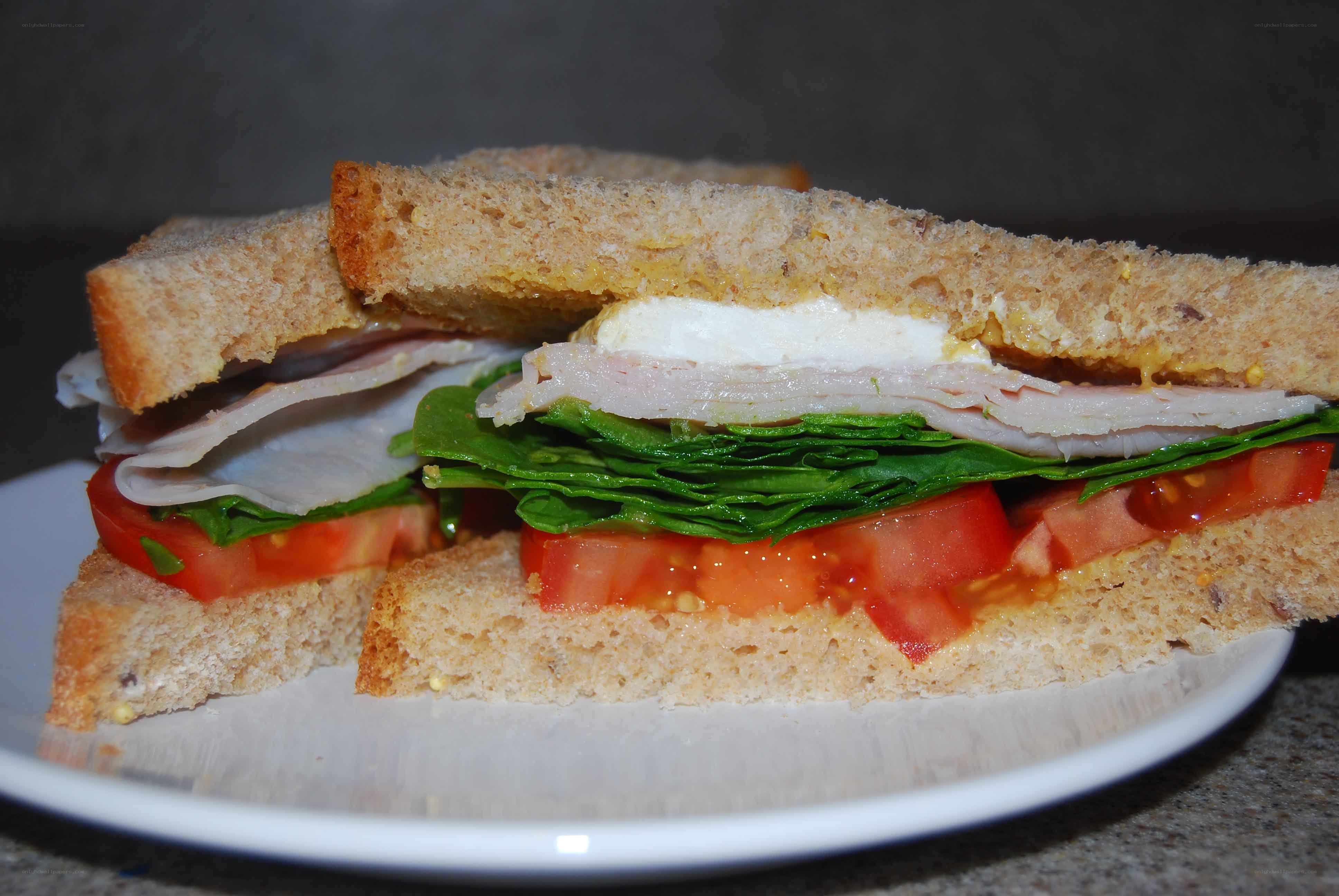 sandwich with turkey and vegetables