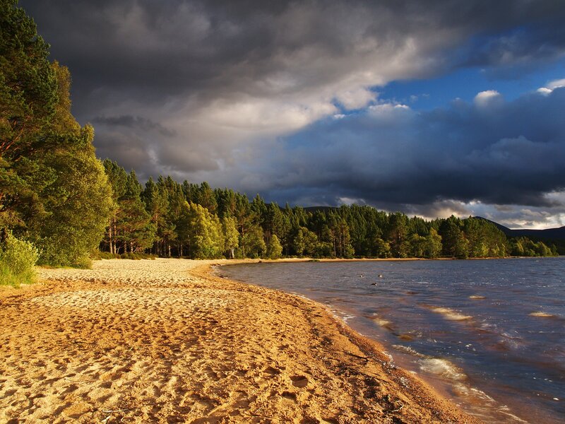 Sandy Beach at Lake
