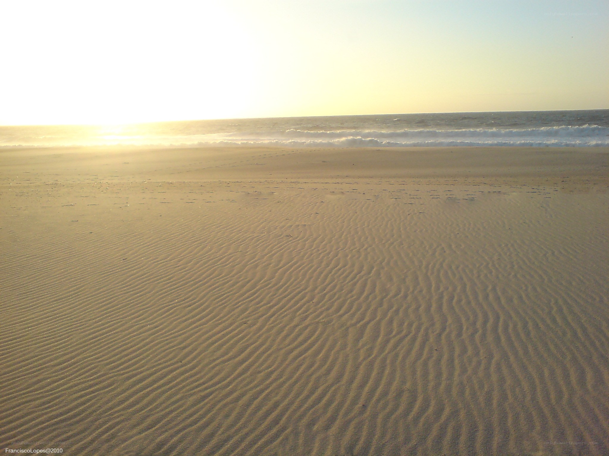 sandy beach at sunset