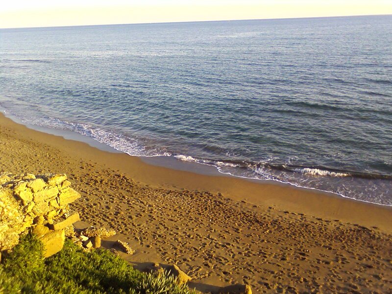 sandy beach at sunset