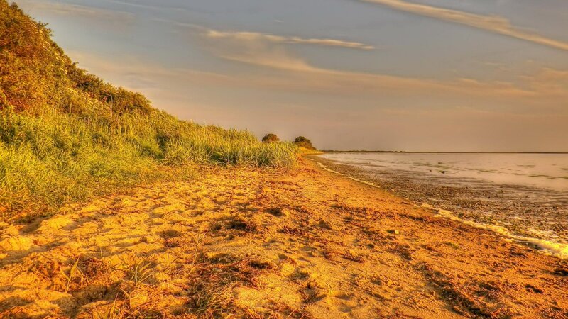Sandy Beach at Sunset — Gold