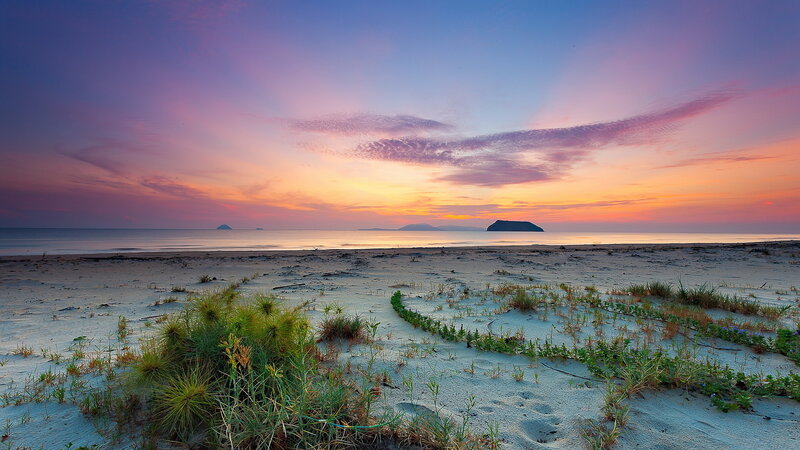 Sandy Beach at Sunset — Purple, Serene