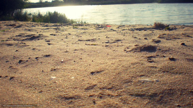sandy beach at sunset