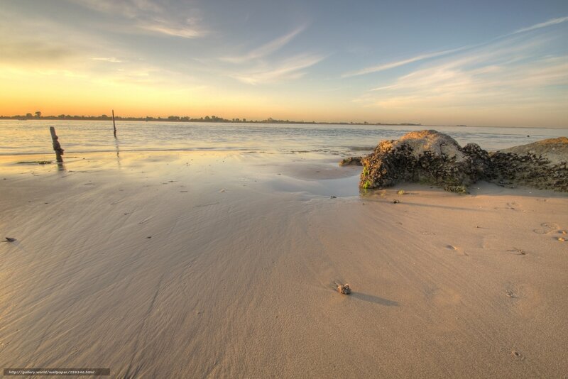 Sandy Beach at Sunset — Yellow, Serene