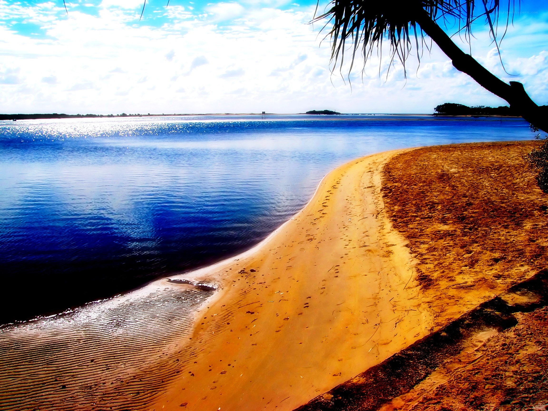 sandy beach by calm water