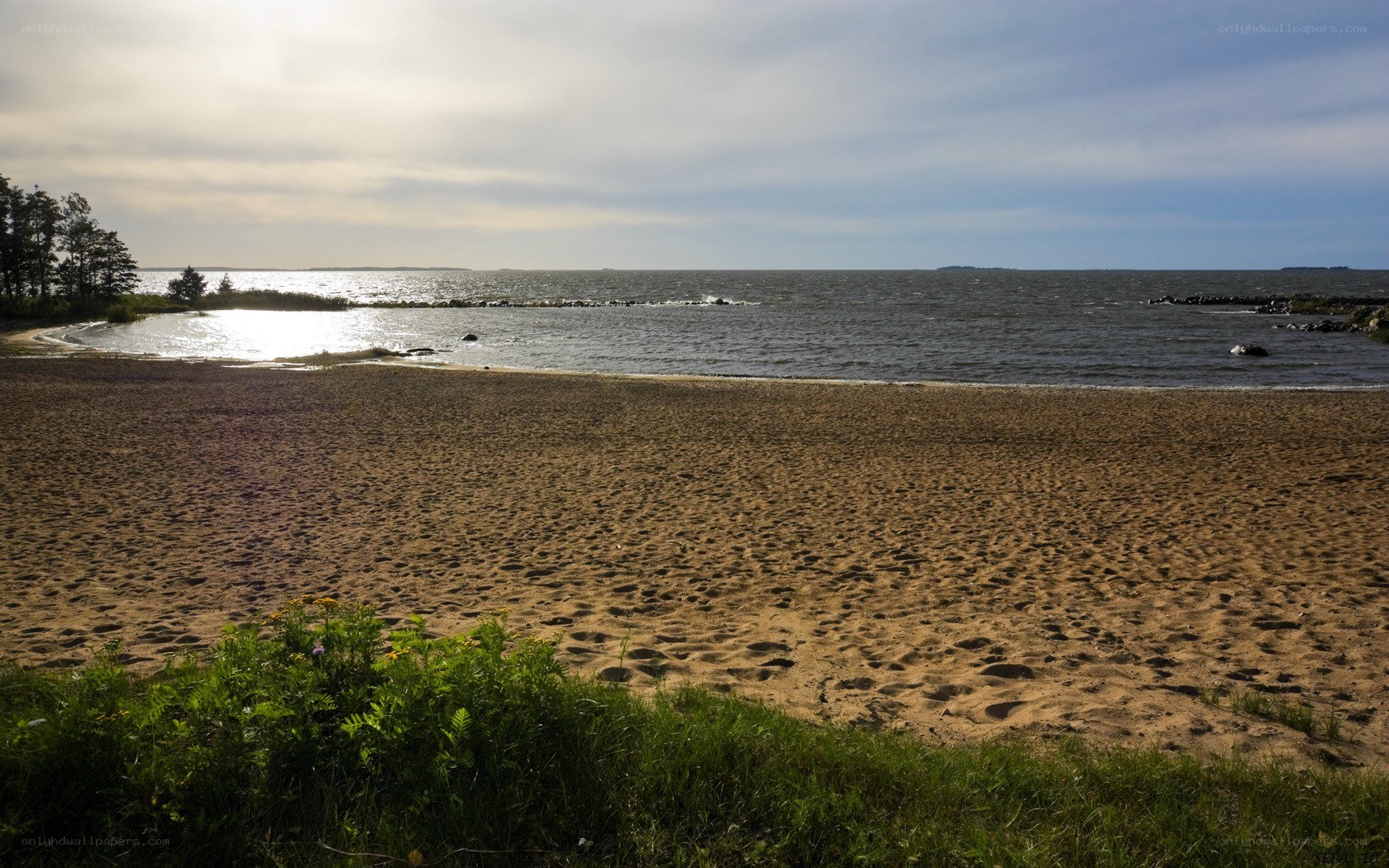 Sandy beach by the sea
